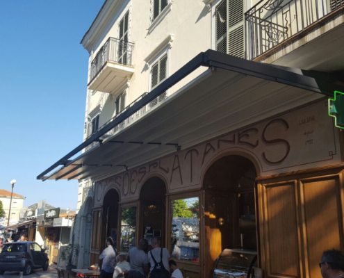 PLATANES1